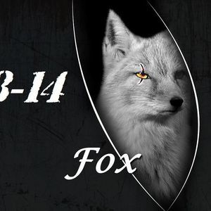 Meet your Posher, Donald