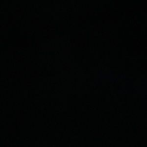 Meet your Posher, Presley