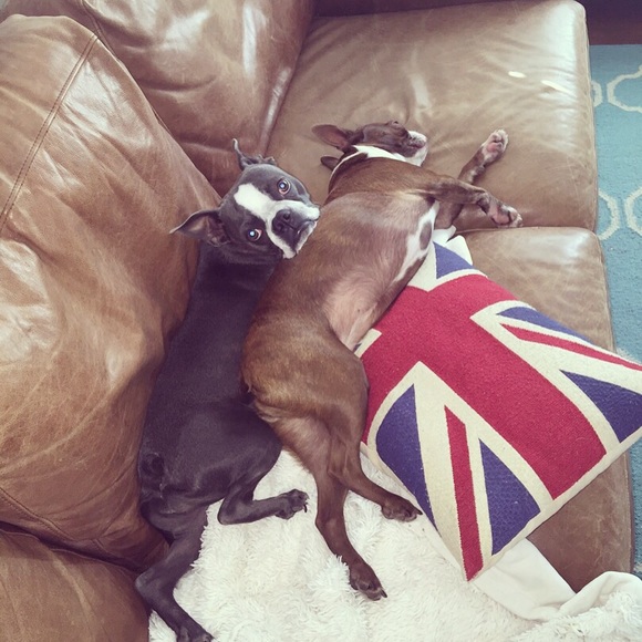 Meet your Posher, Vera - Picture 3 of 5