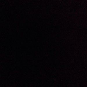 Meet your Posher, Annie