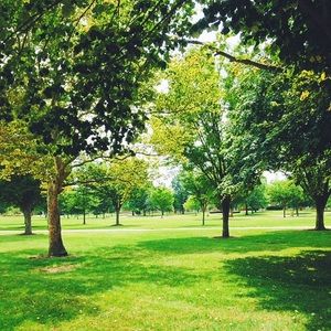 Meet your Posher, Matt