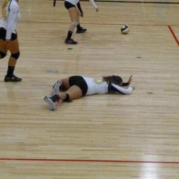 Meet your Posher, Fallon - Picture 1 of 1