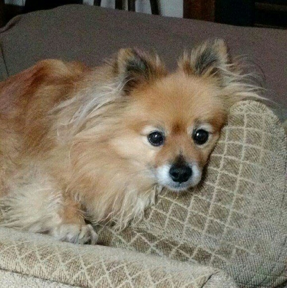 Meet your Posher, Trish - Picture 4 of 4