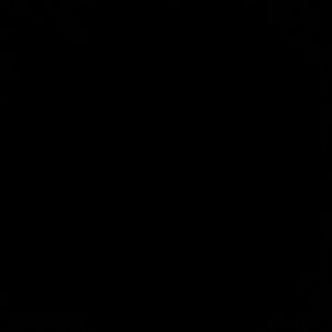 Meet your Posher, Victor