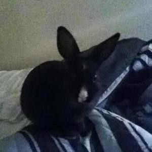 Meet your Posher, Doris