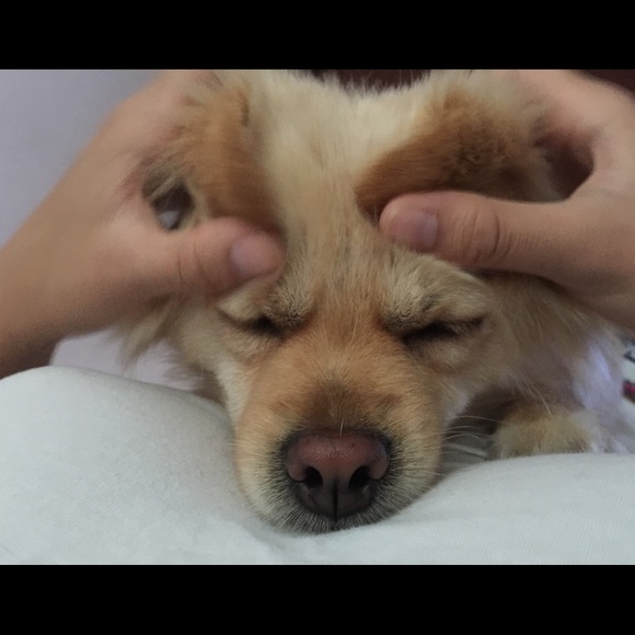 Meet your Posher, Kim - Picture 1 of 1