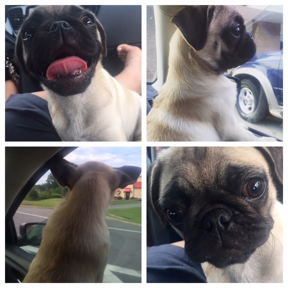 My sweet family - Picture 2 of 8