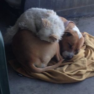 Meet your Posher, Edith