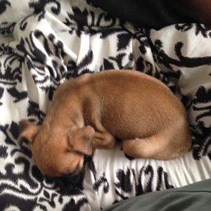 Meet your Posher, Courtney