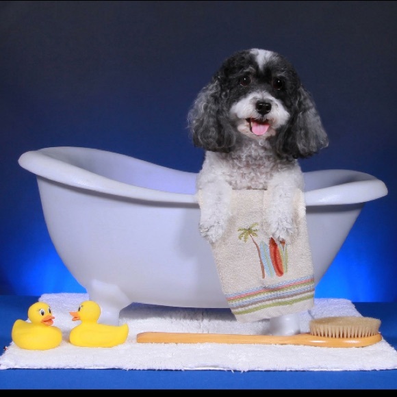 Sir Julius says check out my moms closet. π - Picture 2 of 3