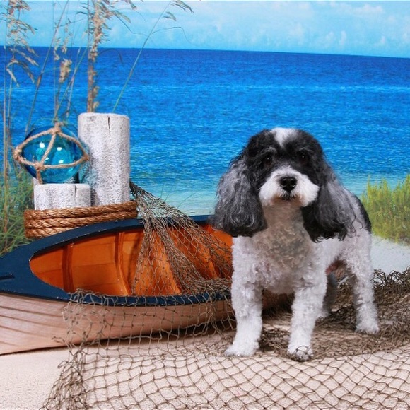 Sir Julius says check out my moms closet. π - Picture 3 of 3