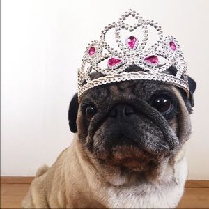 Meet your Posher, Haley