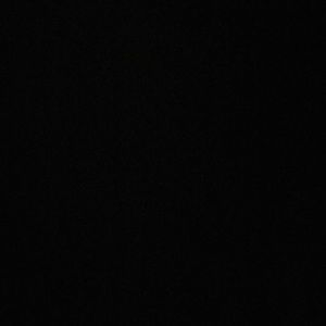 Meet your Posher, Connie