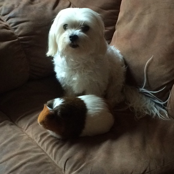 Meet your seller ! - Picture 3 of 4