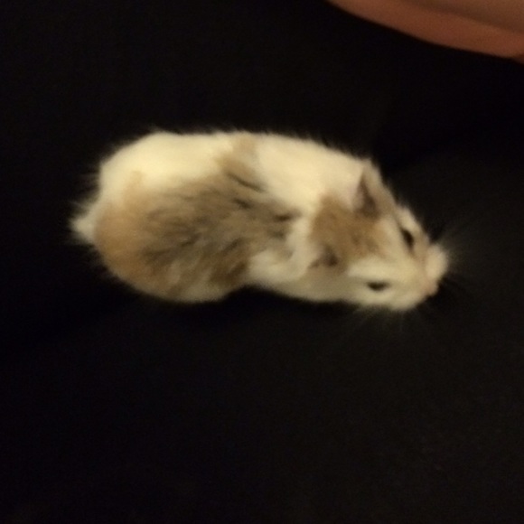 Meet your seller ! - Picture 4 of 4