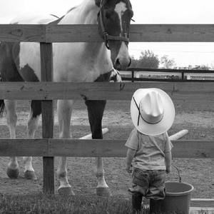 Meet your Posher, Roger