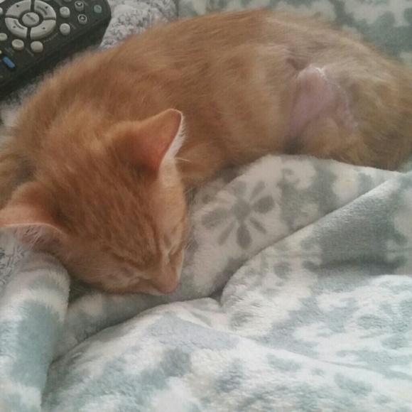 Theodore update!