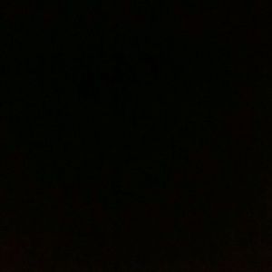 Meet your Posher, Sal