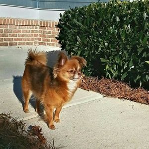 Meet your Posher, Shaundra