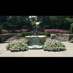 Meet your Posher, Daisy