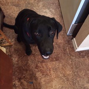 Meet your Posher, Sharon