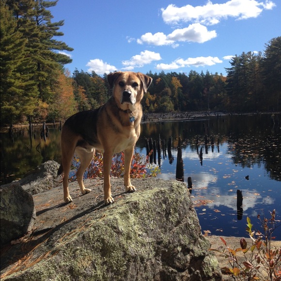 Meet your Posher, Brianna - Picture 4 of 4