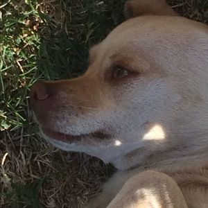 Meet your Posher, Eliza