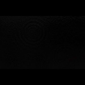 Meet your Posher, Suzanne