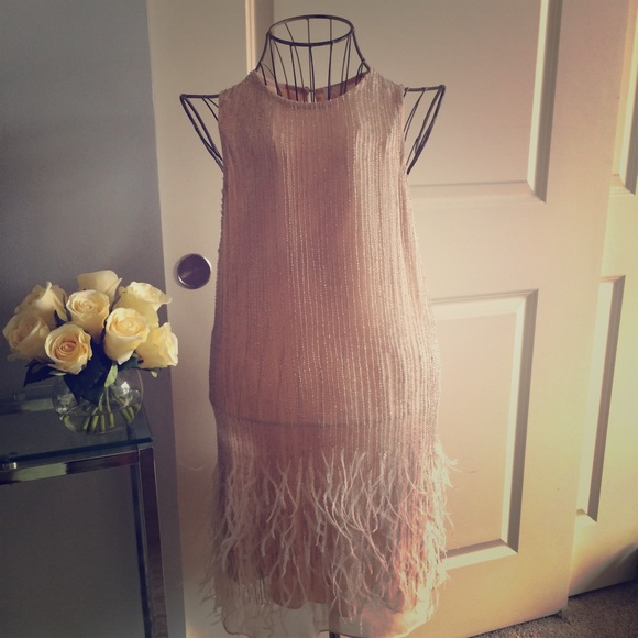 Beautiful Blush Embellished Dress