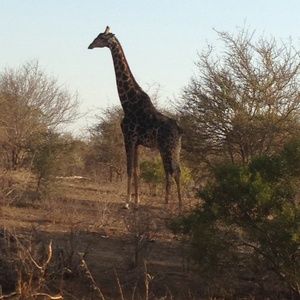 Meet your Posher, Beth