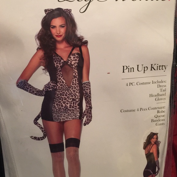 Pin up Kitty Sexy Halloween Costume