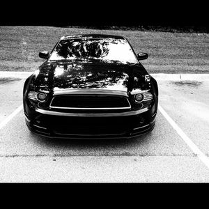 Meet your Posher, Blake