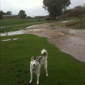 Meet your Posher, Russ