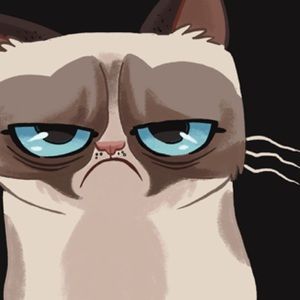 Meet your Posher, Brandy