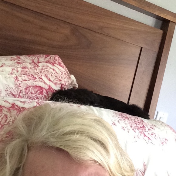 Meet your Posher, Sue