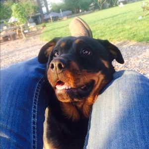 Meet your Posher, Hannah