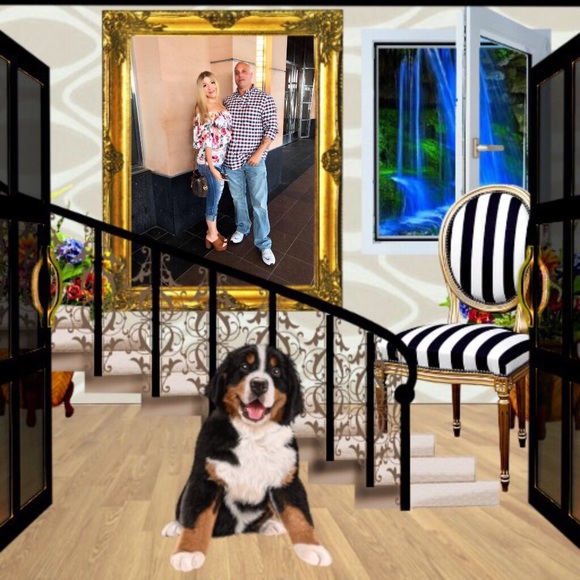 Hi meet your posher Jaded - Picture 3 of 8