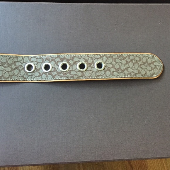 Belt - Picture 2 of 4