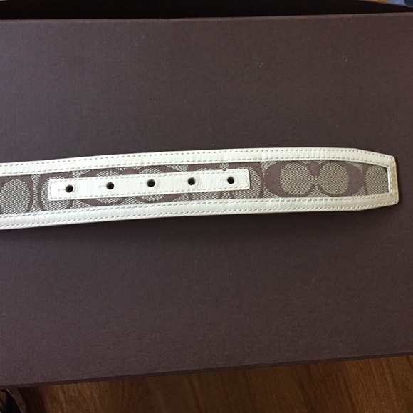 Belt - Picture 3 of 4