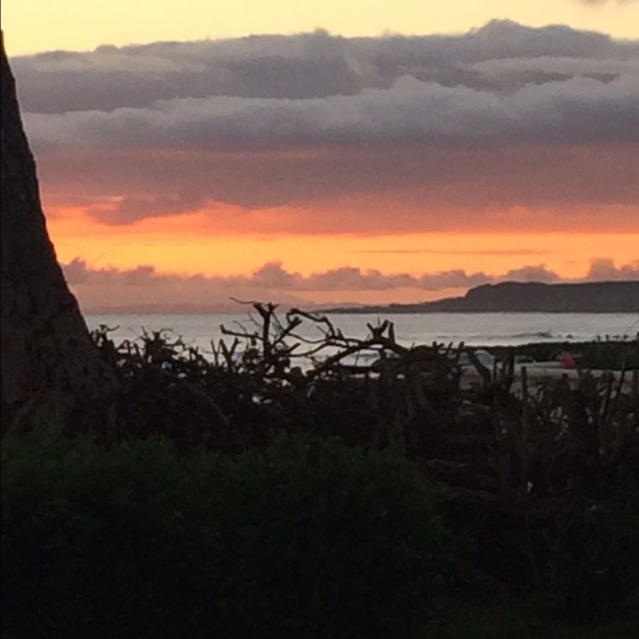 Meet your Posher, Libbie - Picture 2 of 2