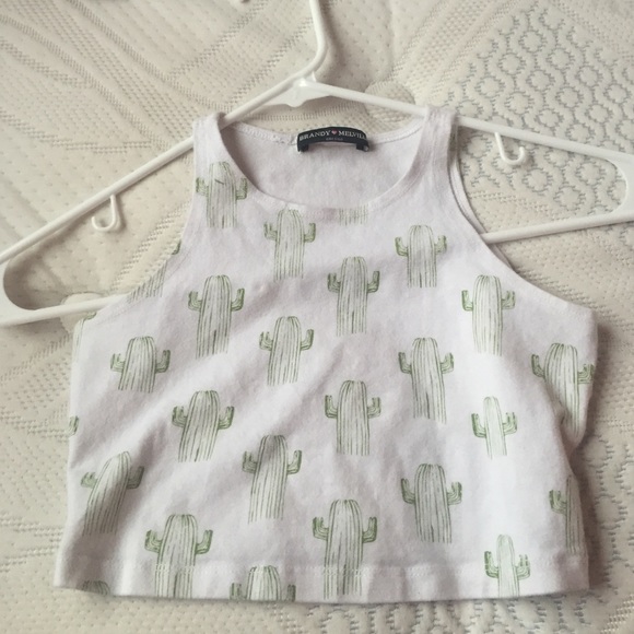 Brandy Melville cactus crop