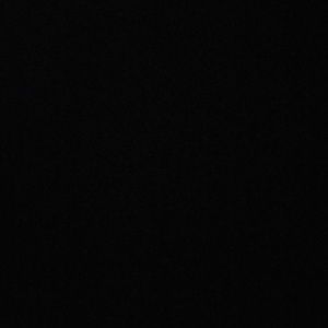 Meet your Posher, Elayne