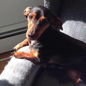 Meet your Posher, Sharon