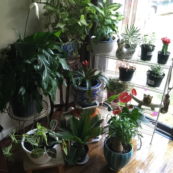 Meet your Posher, Nora - Picture 1 of 1