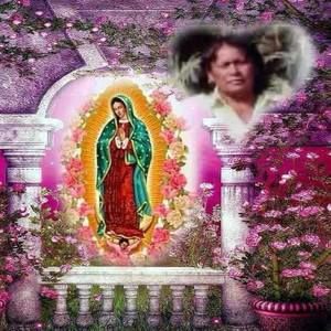 Meet your Posher, Lupe