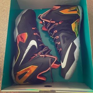 Nike Lebron Elite XI