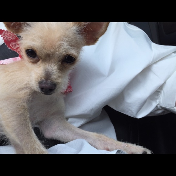 Meet your Posher, Margaux - Picture 1 of 1