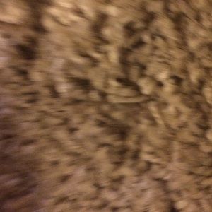 Meet your Posher, Julie