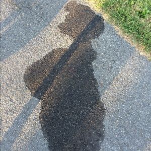 Meet your Posher, Devon