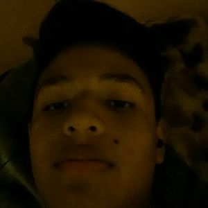 Meet your Posher, Melvin